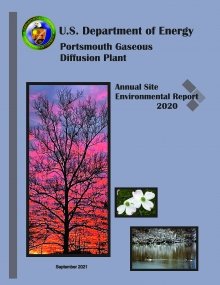 Cover art of the 2020 ASER