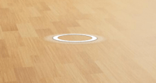 White circle on a wood floor.