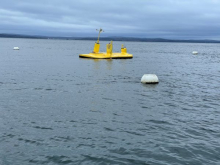 Image of floating wave energy converter in the open ocean