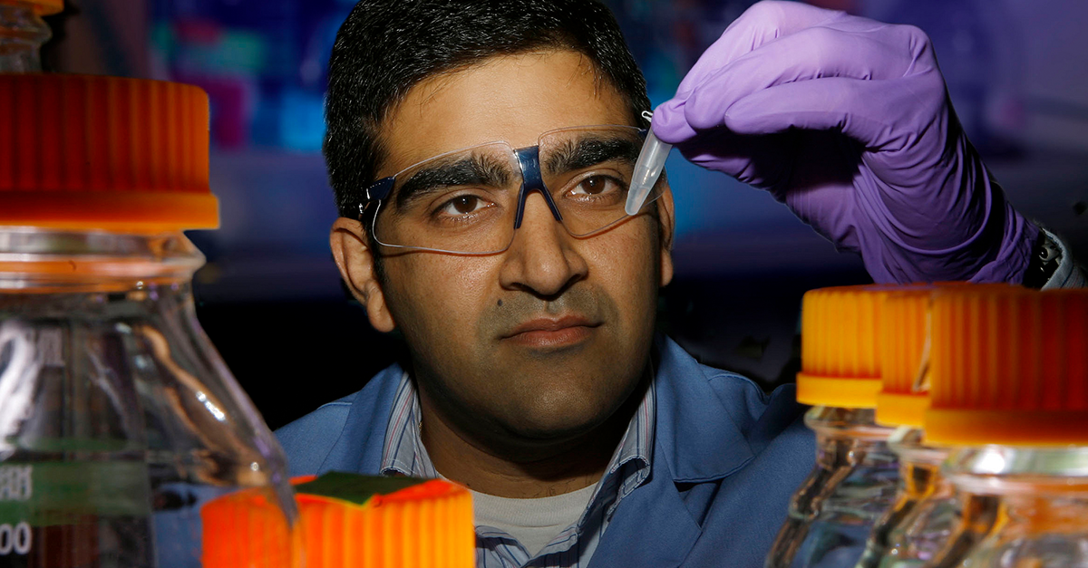 A scientists examines a tube filled with biofuels.