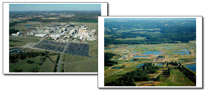 Fernald
