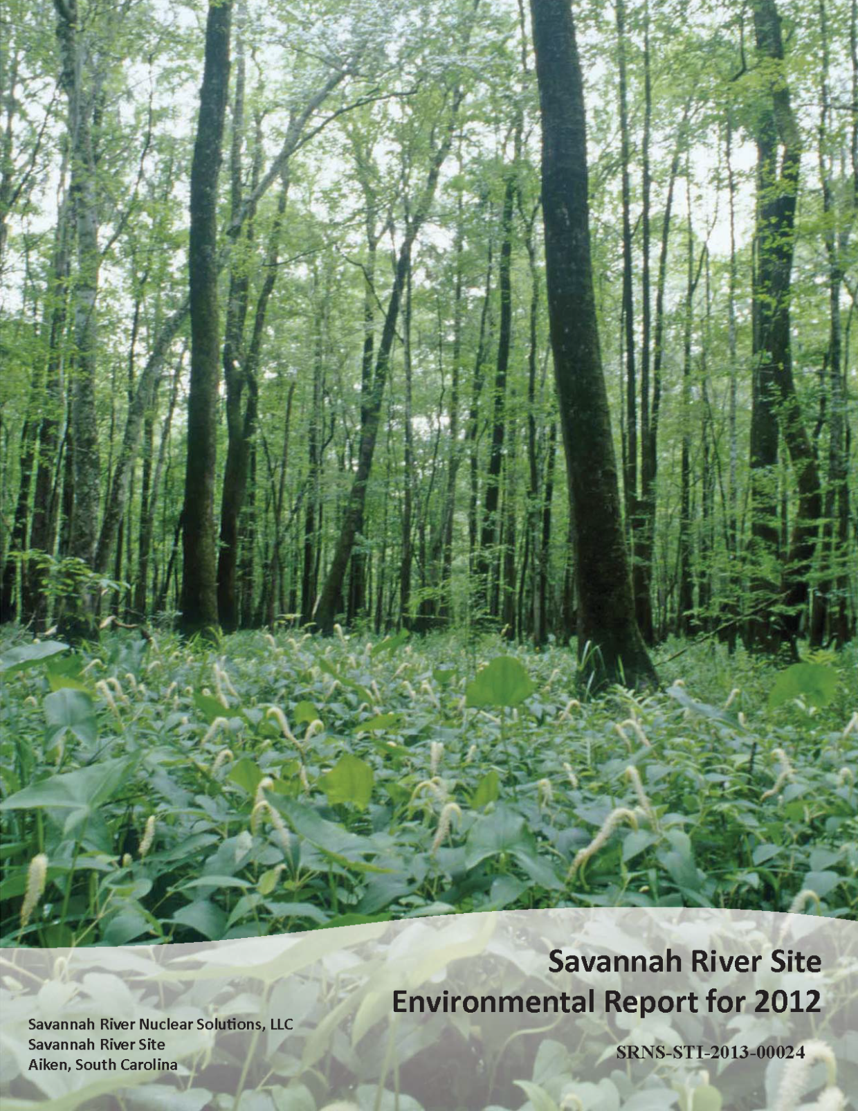 Cover for 2012 Environmental Annual Report
