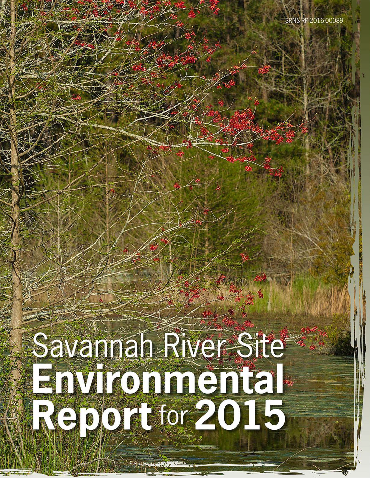 Cover for 2015 Environmental Annual Report