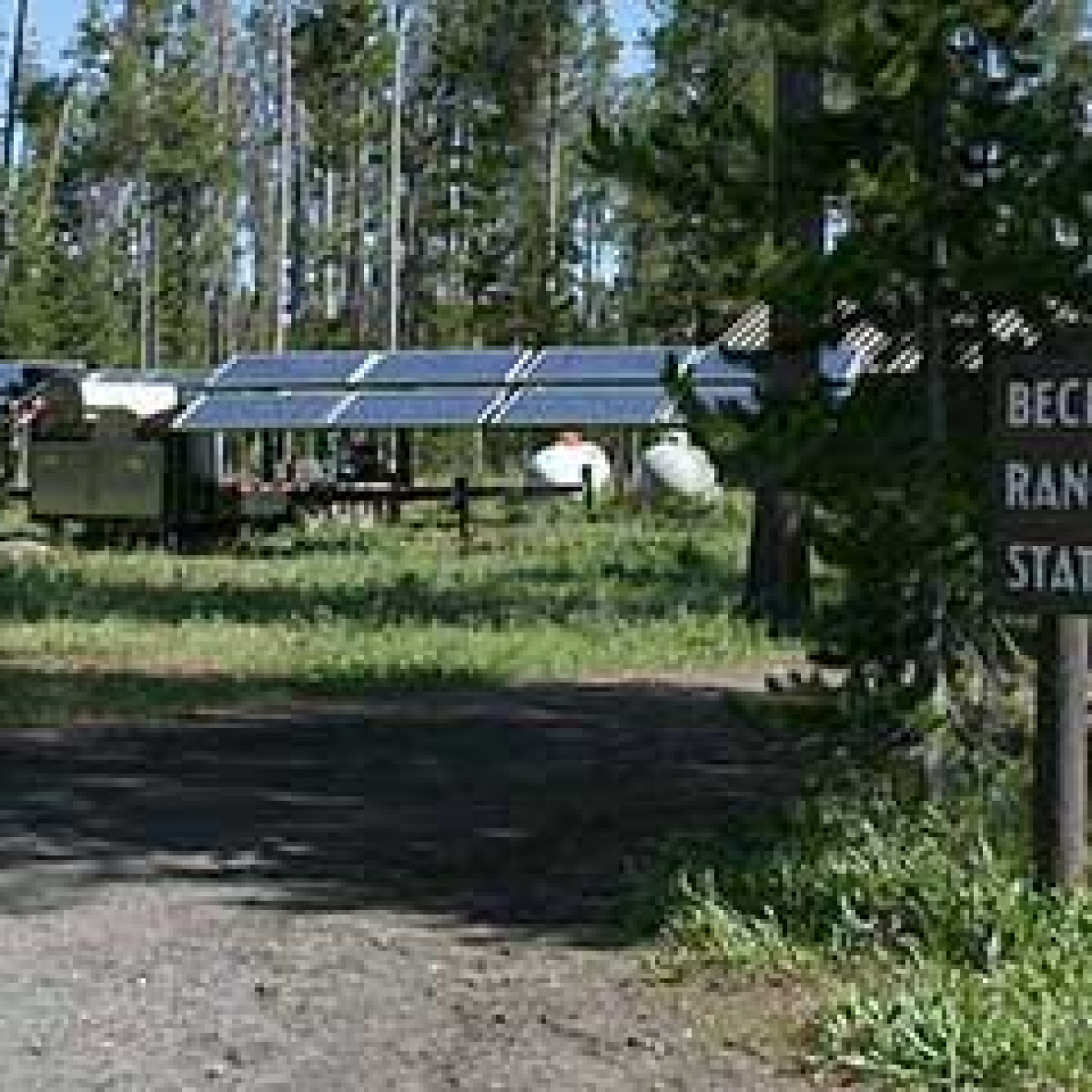 Solar panels set up in the woods of Yellowstone National Park.
