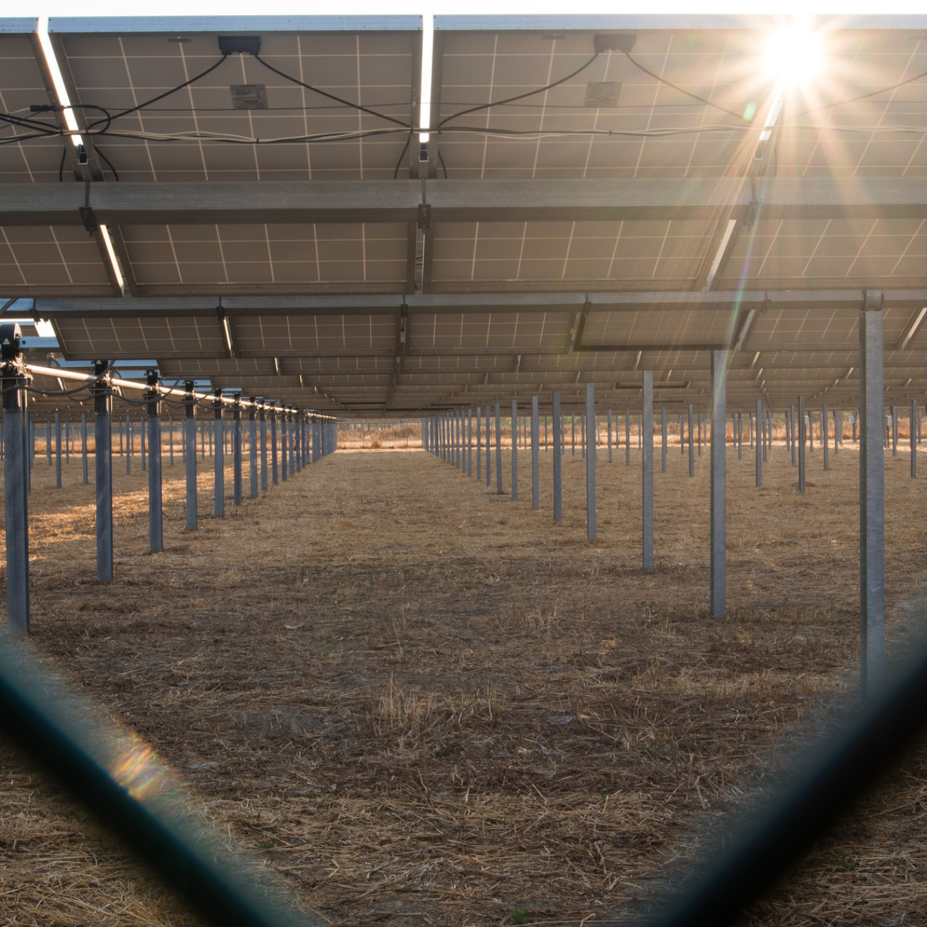 A photo of photovoltaic panels from underneath showing the mounting structures