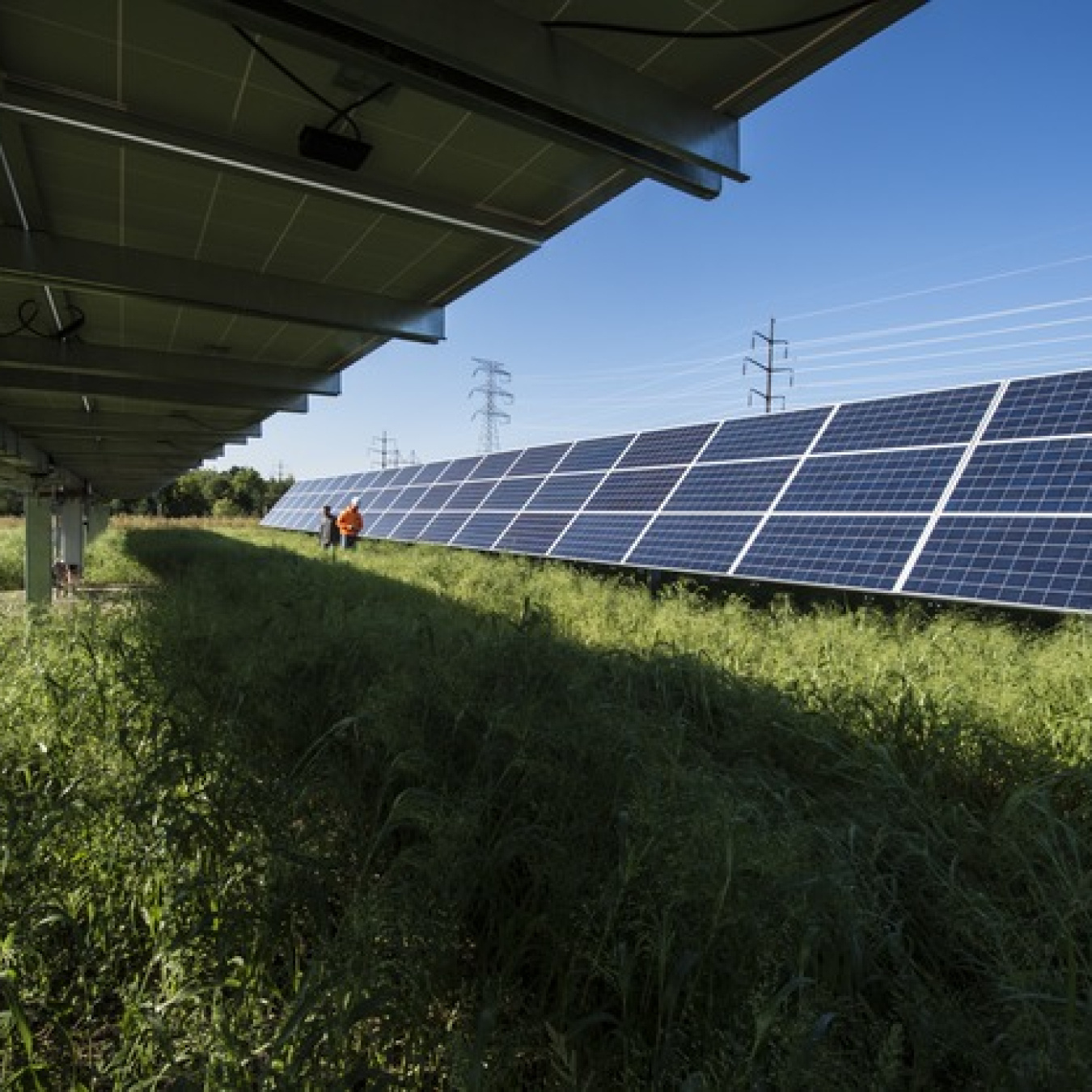 Photo of solar arrays on grass showing the underside and top side of the panels
