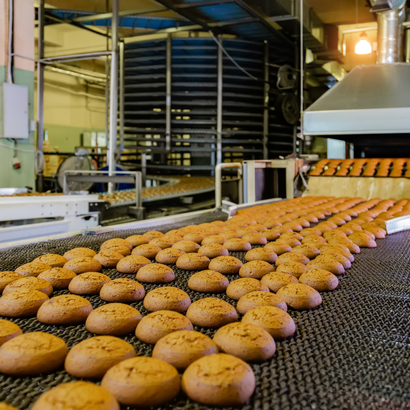 A Bakery Conveyor Belt