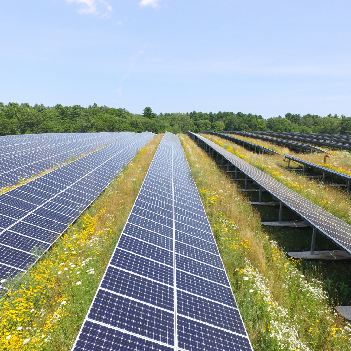 This solar farm was built on top of a landfill located in Rehoboth, MA. The landfill had not been used for decades and will now provide clean renewable energy to customers nearby.