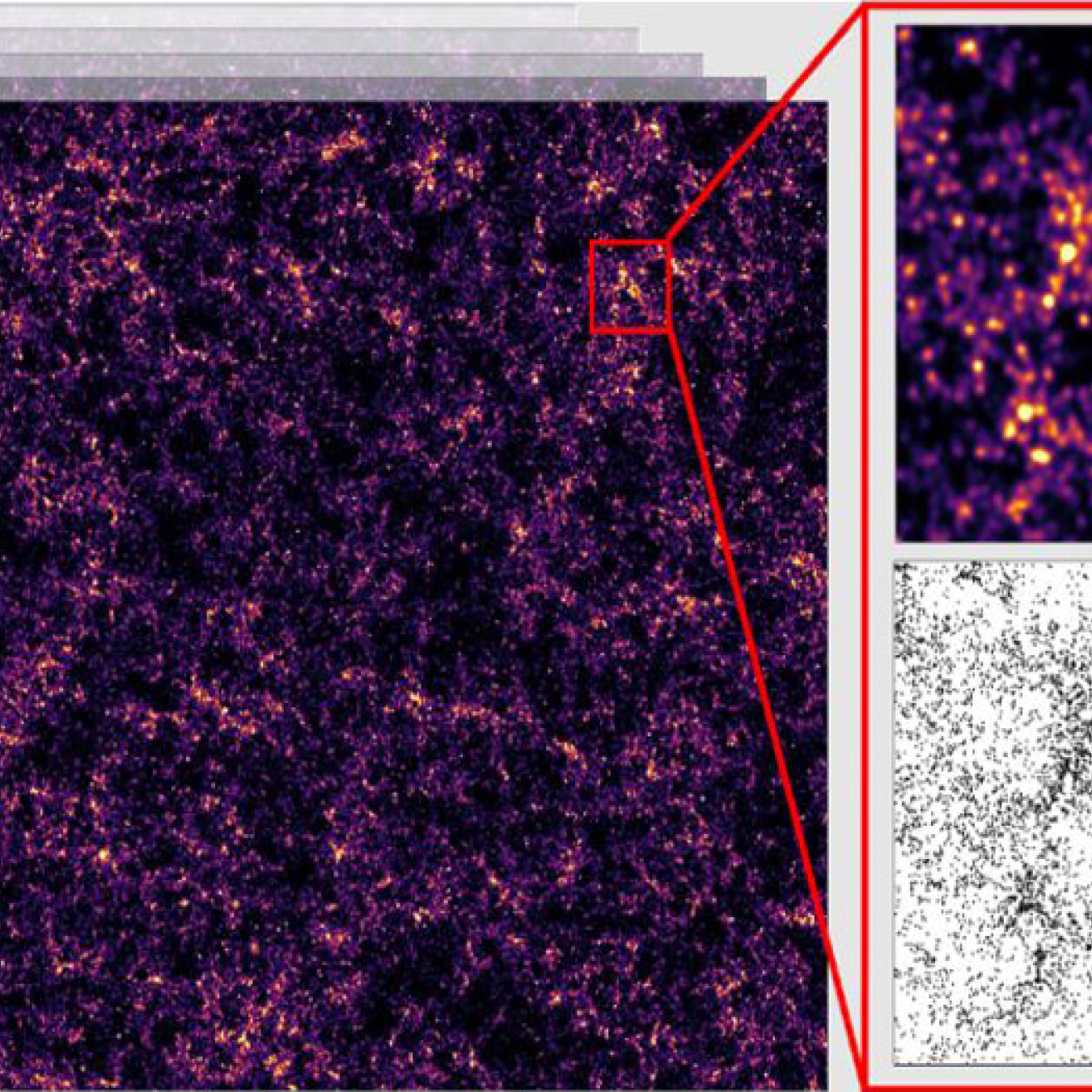 Three screenshots appear in this image: on the left is the largest, with a dark background and small clumps of purple and yellow spots. A red highlight box shows two zoomed in shots on the right. The top zoomed in image is of the purple and yellow spots but is slightly blurry, whereas the bottom image has black and white clumped spots and is more sharply in focus. 
