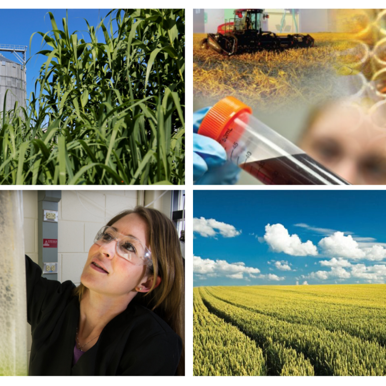 4 Picture Bioenergy Collage