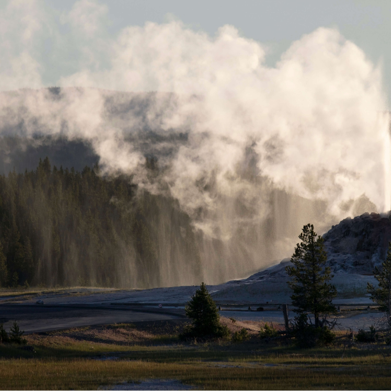 Yellowstone geyser landscape