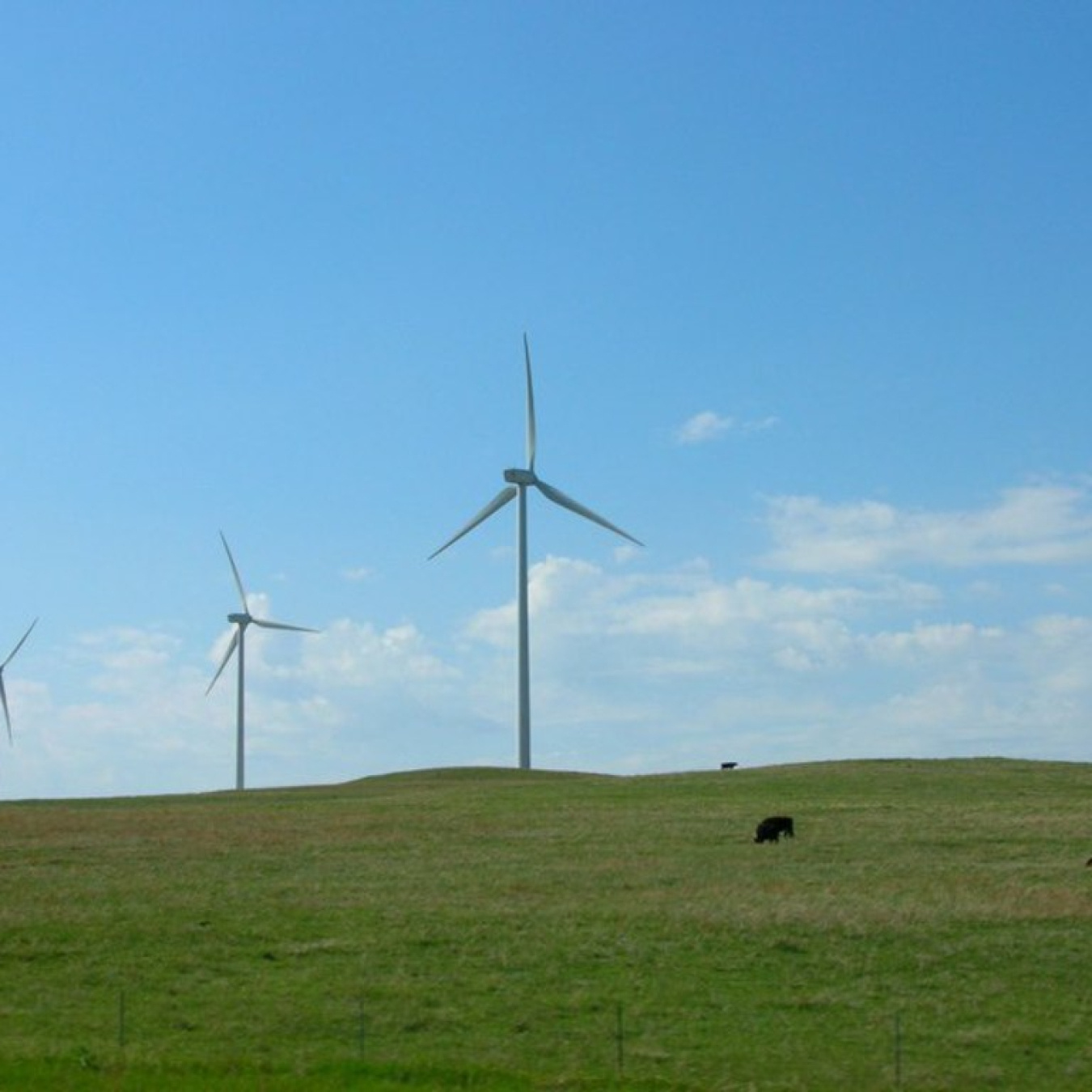 Wind Turbines in a rural area with green grass and blue skies. 