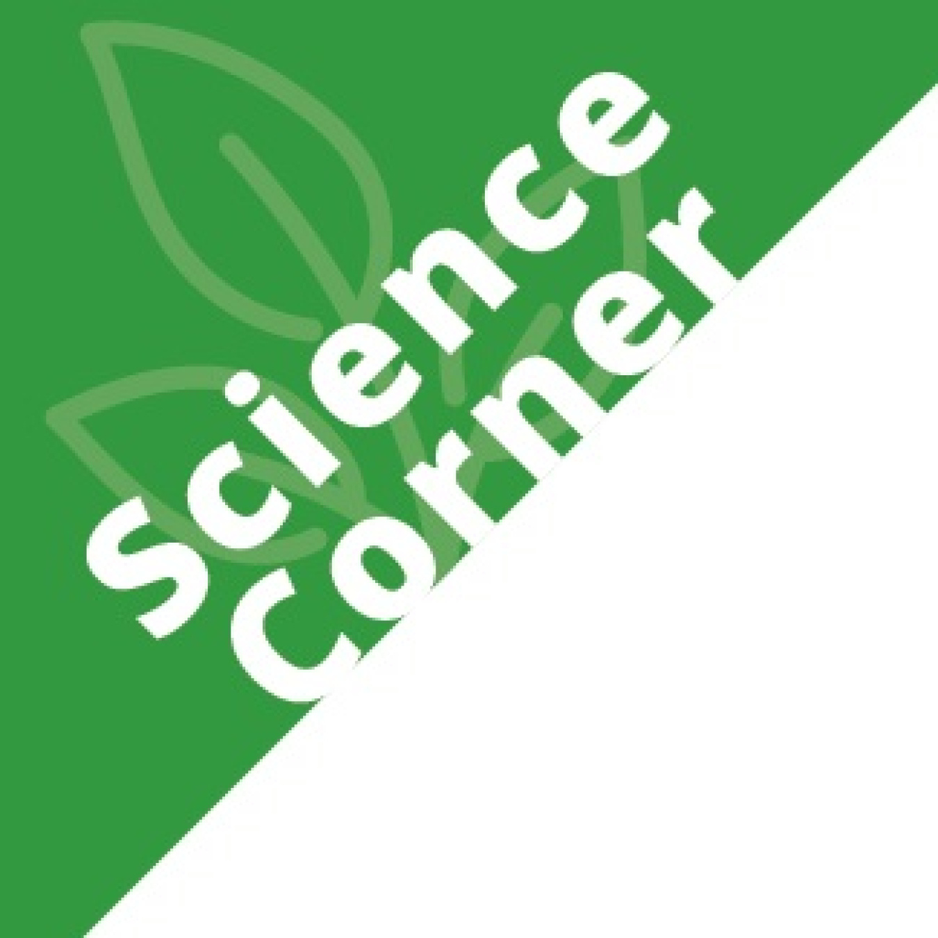 Science Corner logo