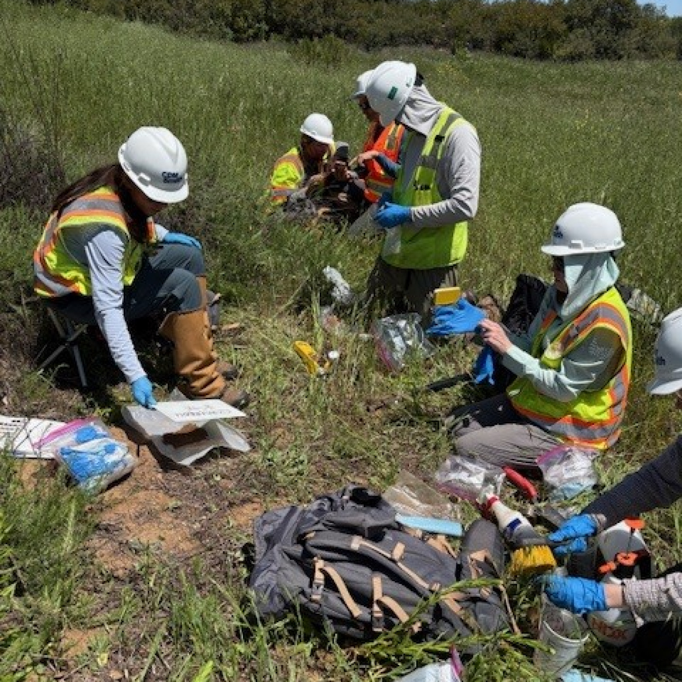 People collecting soil samples