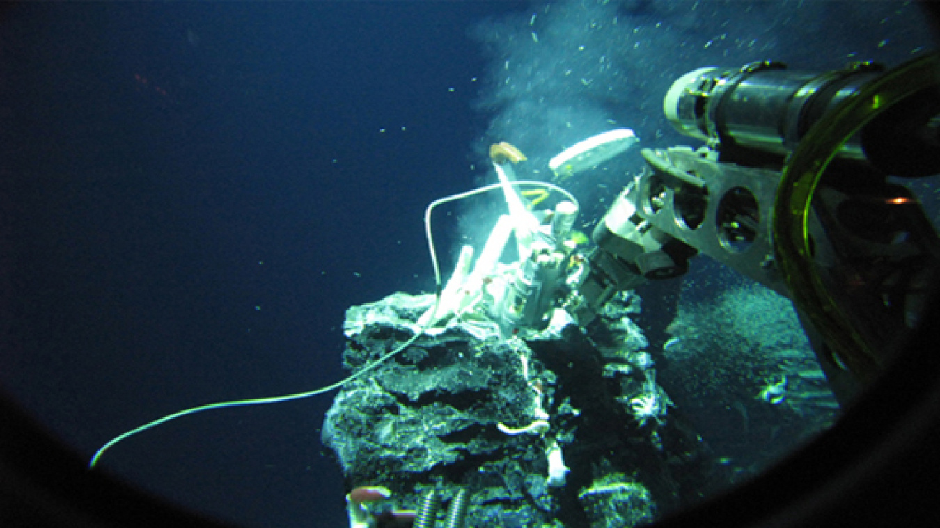 Crab Spa is a diffuse-flow hydrothermal vent site on the East Pacific Rise and one of the nine sampling sites for this study.Crab Spa is a diffuse-flow hydrothermal vent site on the East Pacific Rise and one of the nine sampling sites for this study.