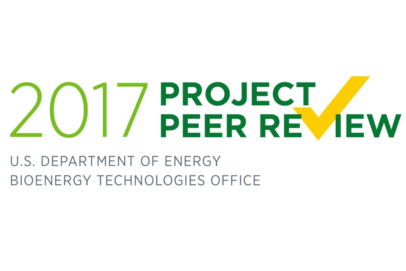 2017 Peer Review logo