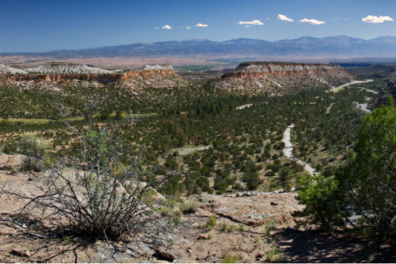 NAEP Environmental Stewardship Award Earned by LANL Trails Management Program