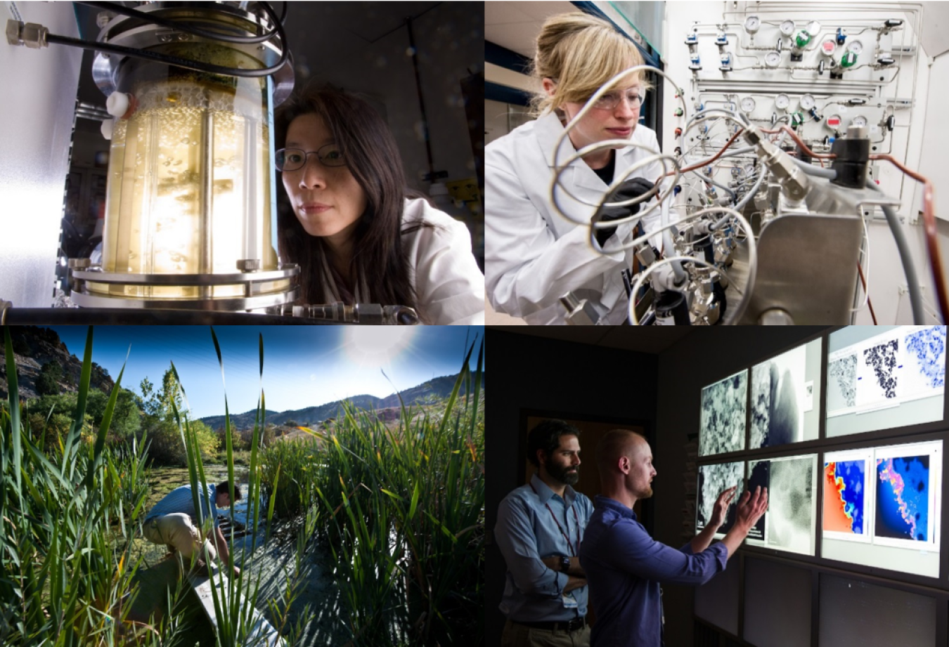 An image with four quadrants showing the different types of jobs within the Bioenergy service sector.