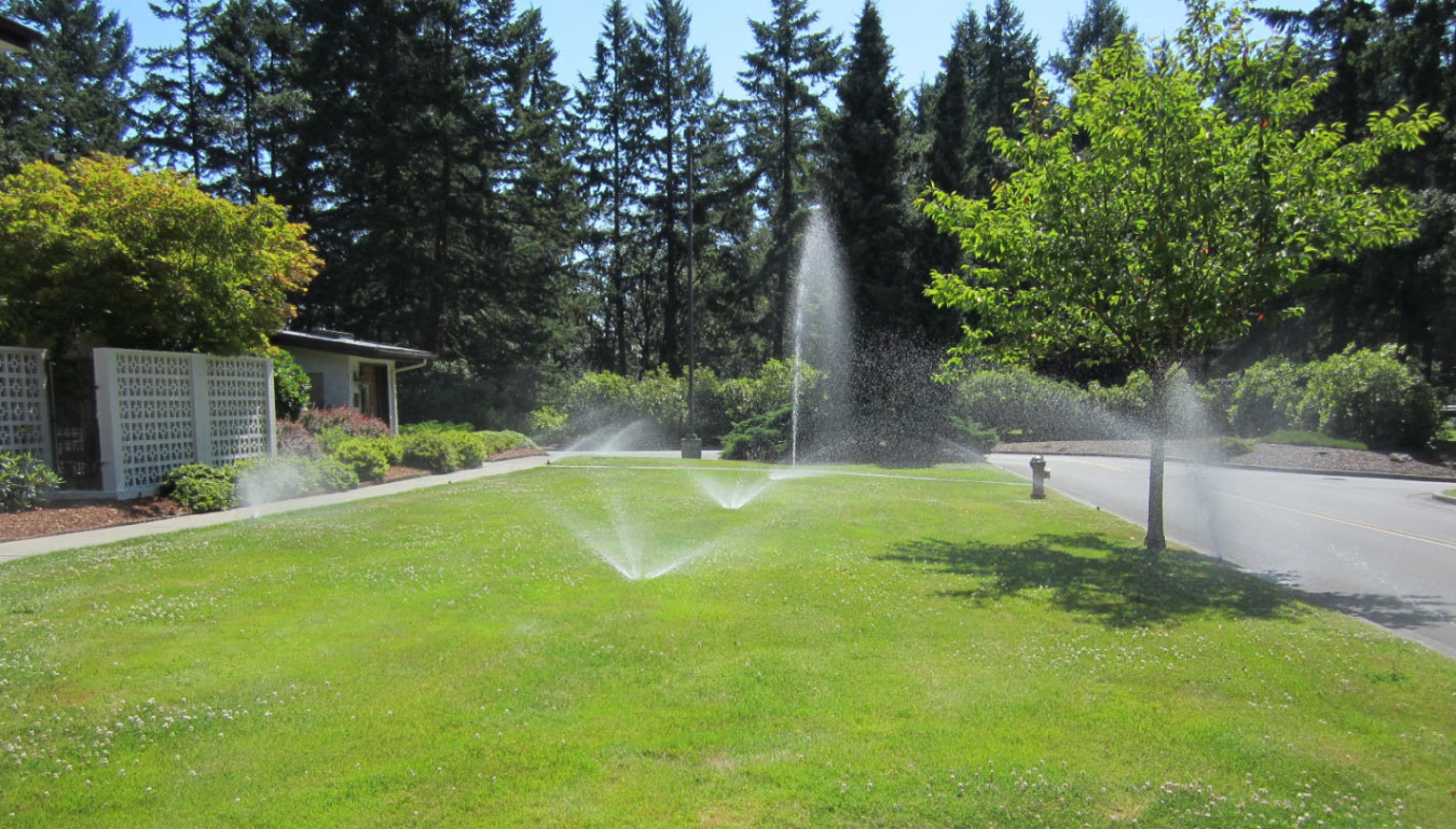 A residential lawn with several sprinklers spreading water across the green grass. One sprinkler is broken and shooting water straight up into the air.