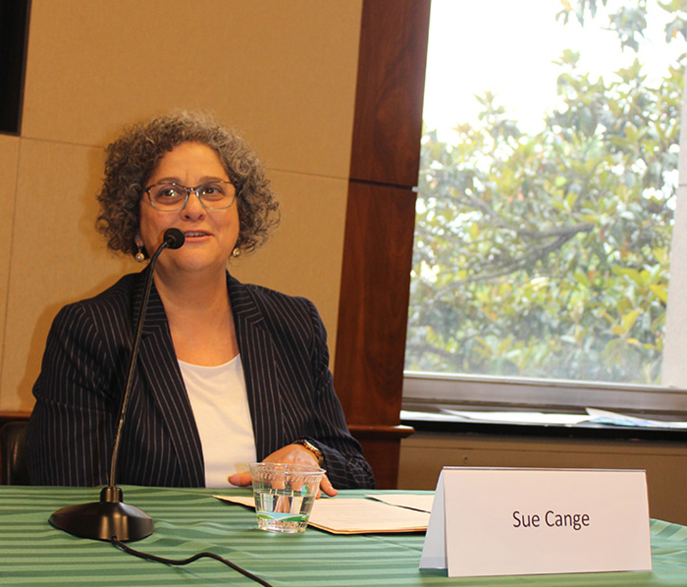 EM Acting Assistant Secretary Sue Cange speaks during the event.