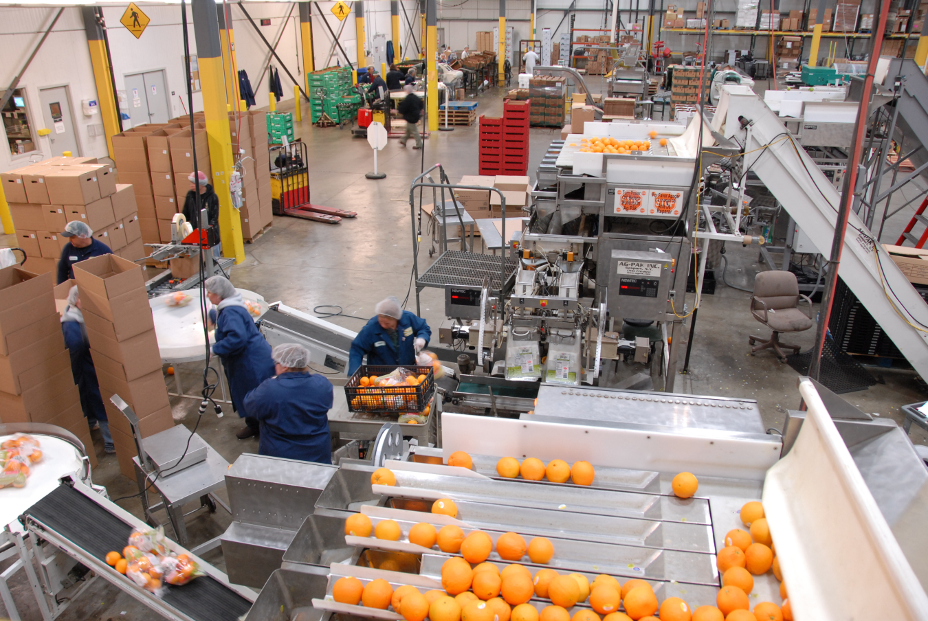 Four Seasons Produce employees processing oranges at their 50001 Ready facility in Ephrata, PA.