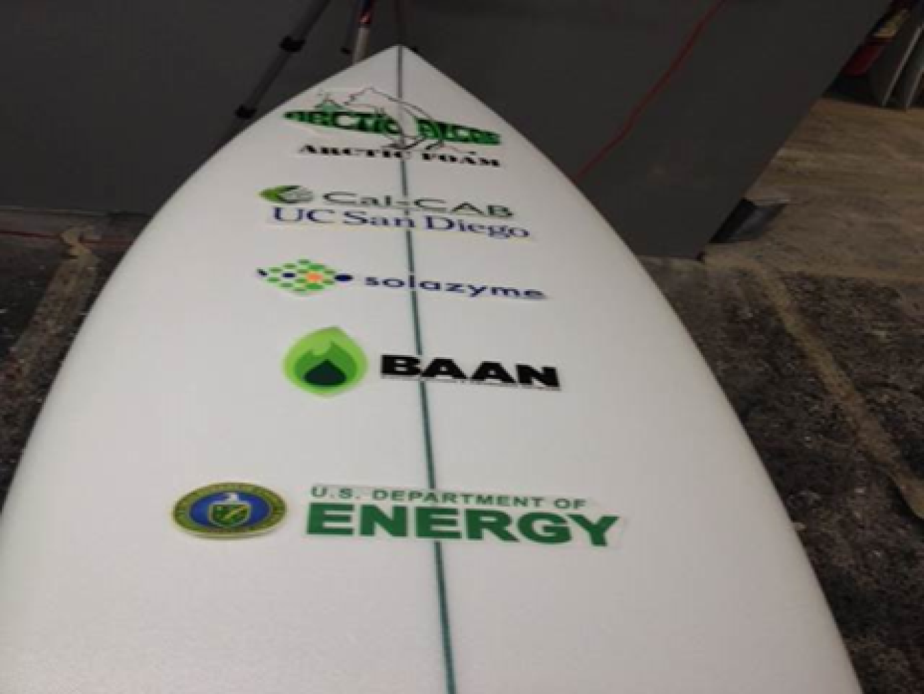 algae surfboard logo photo