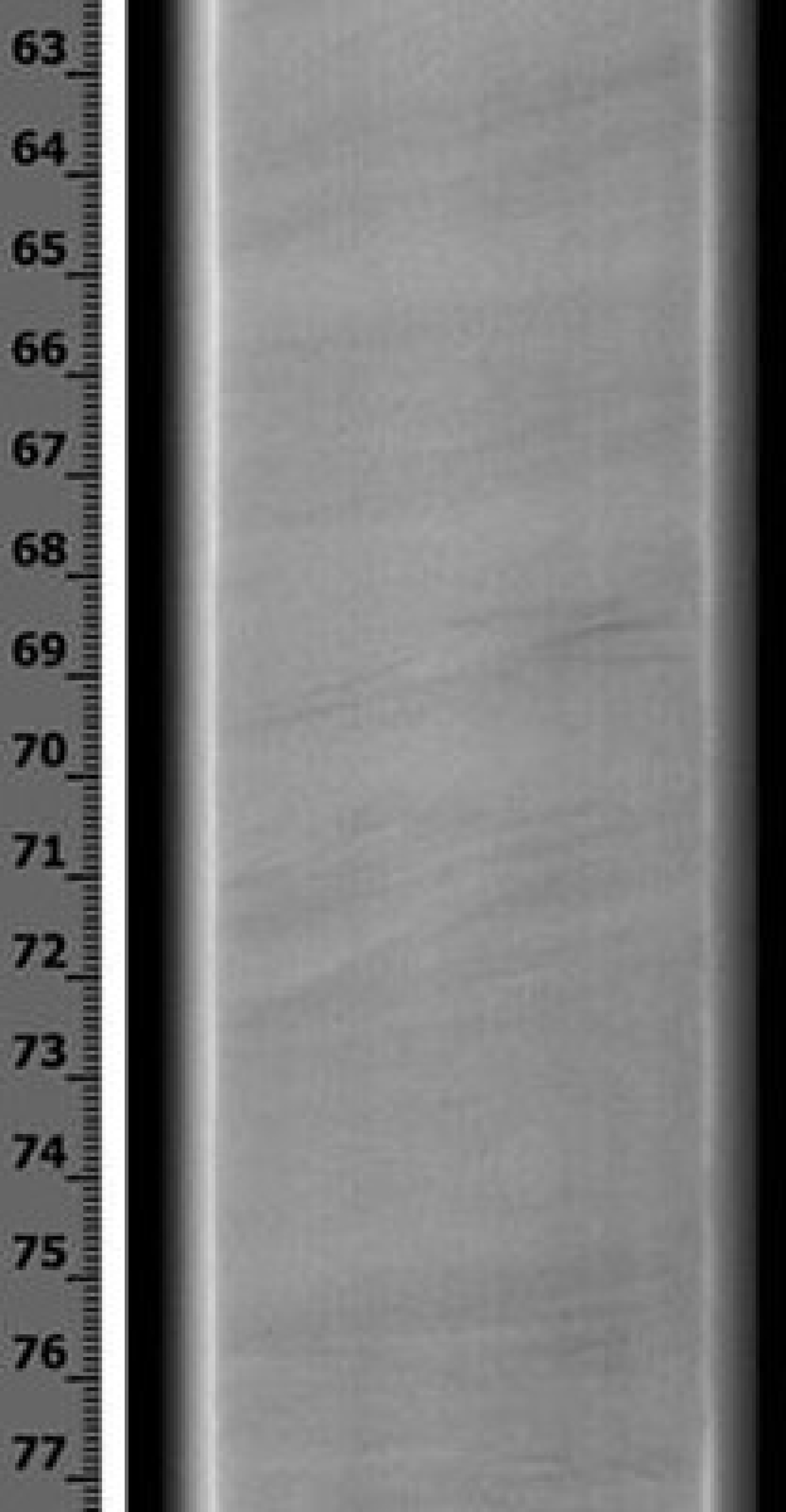 An X-ray CT scan of a gas hydrate-saturated fine sands from the Grand Canyon 955 H005 well, shows the preservation of details of sedimentary structure.