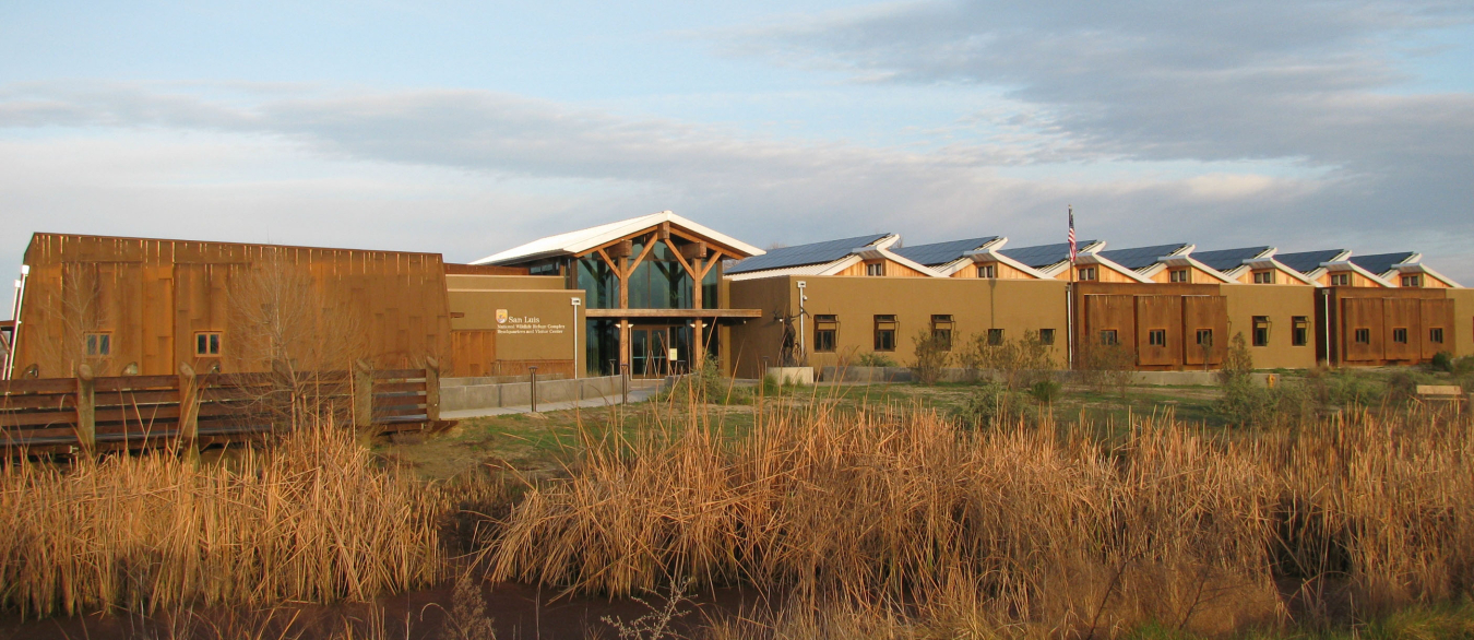 Image of the front of a light brown, yellow and tan net zero building with green grass in the background and tall golden grass in the foreground. A light blue sky looms above the building's roof line.  