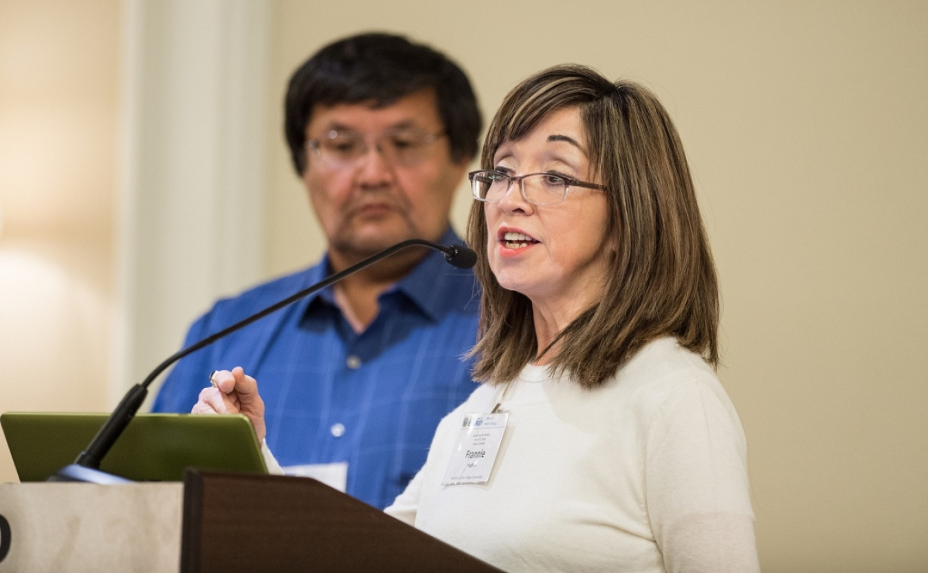 Frannie talking at the 2015 Program Review.