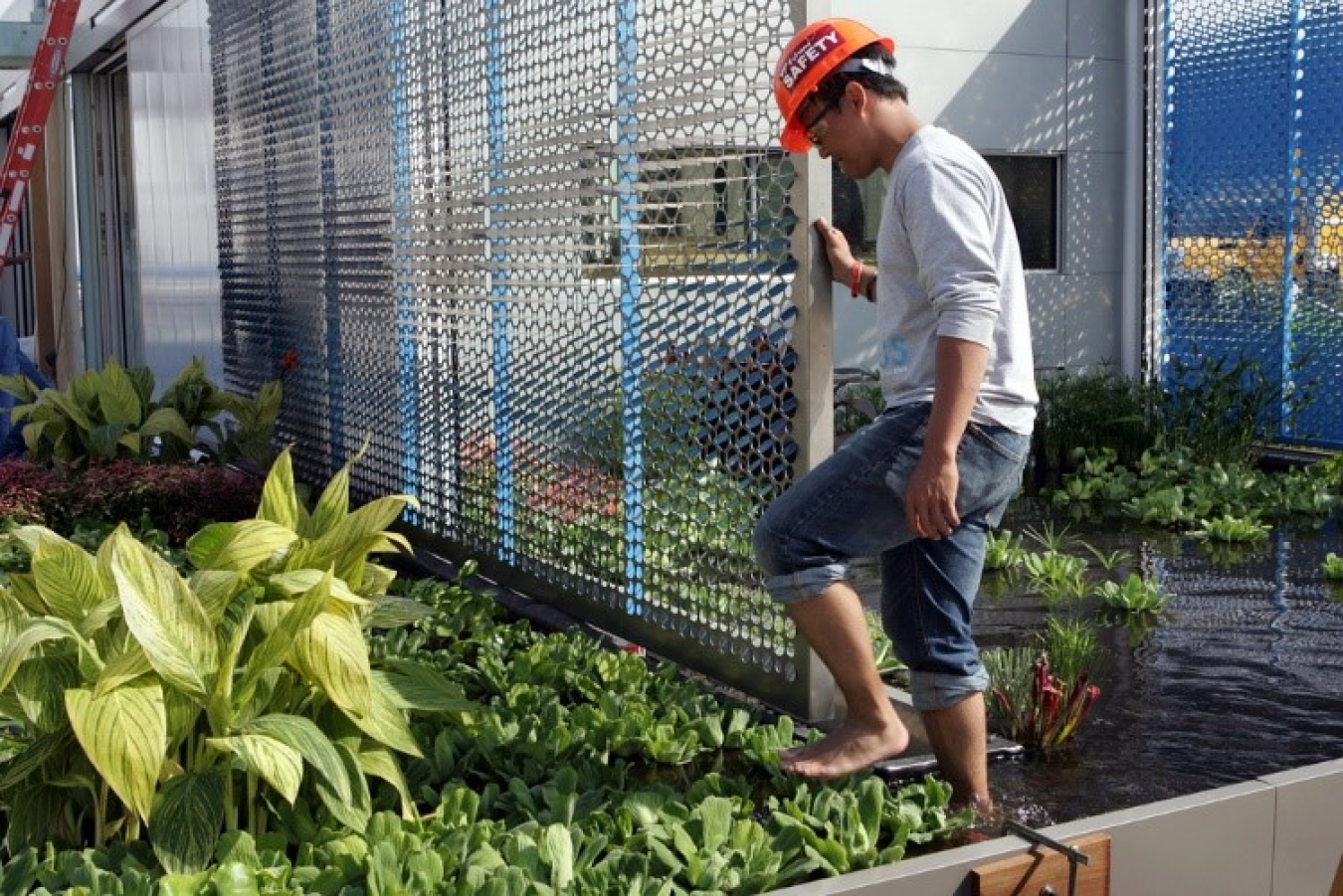 A man walks barefoot through a garden