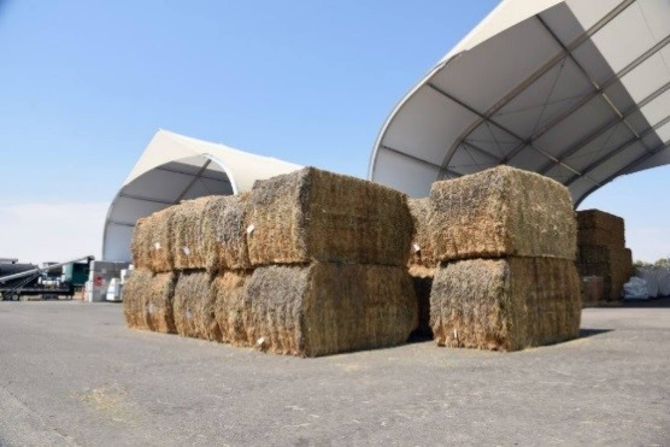 Stacks of alfalfa crops stored under a canopy.
