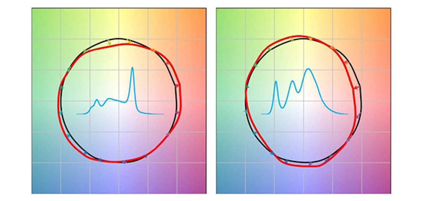IES TM-30-15 Color Vector Graphics for two light sources with spectral power distributions added to the center of each graphic.