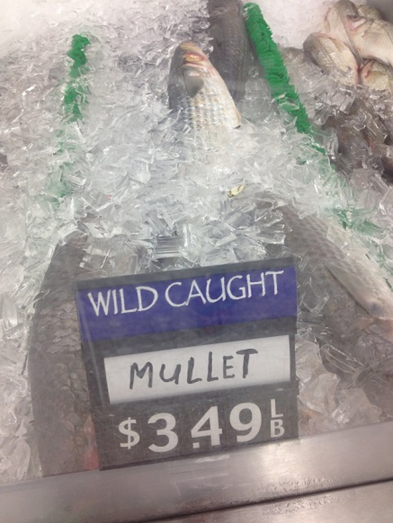 Wild Caught Mullet $3.49/lb