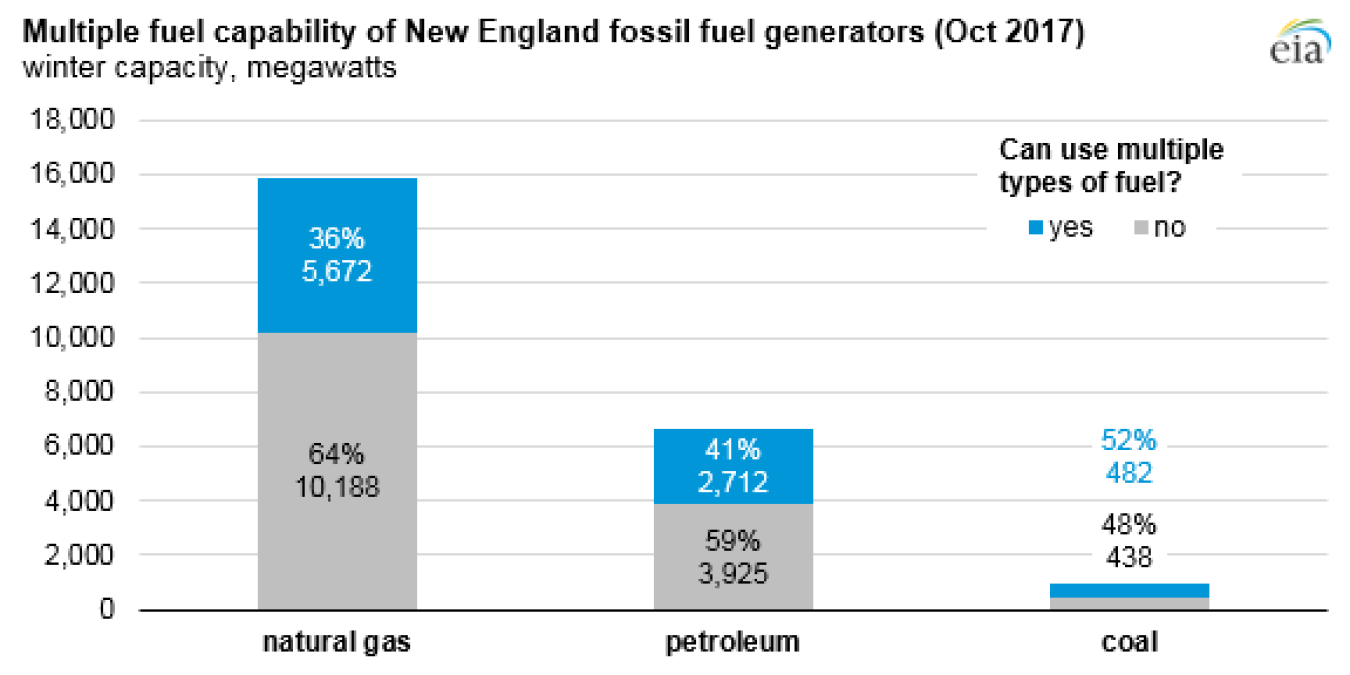 multiple fuel capability in New England 