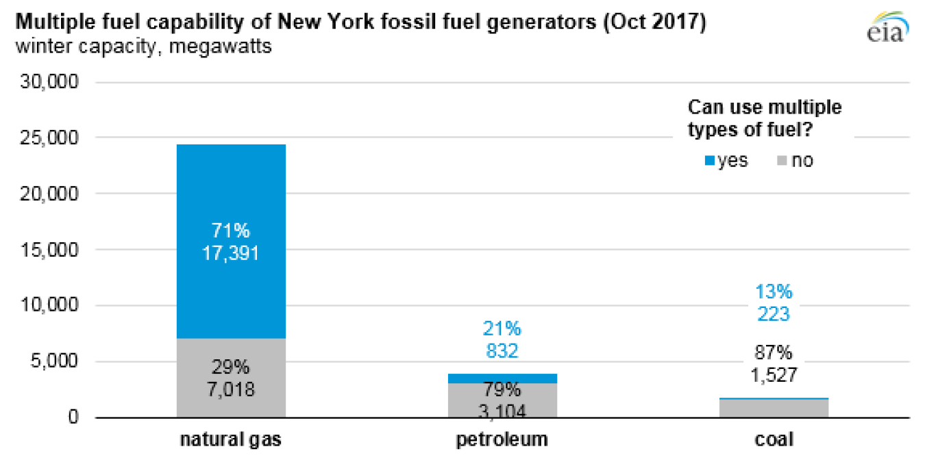 multiple fuel capability of new york fossil fuel generators