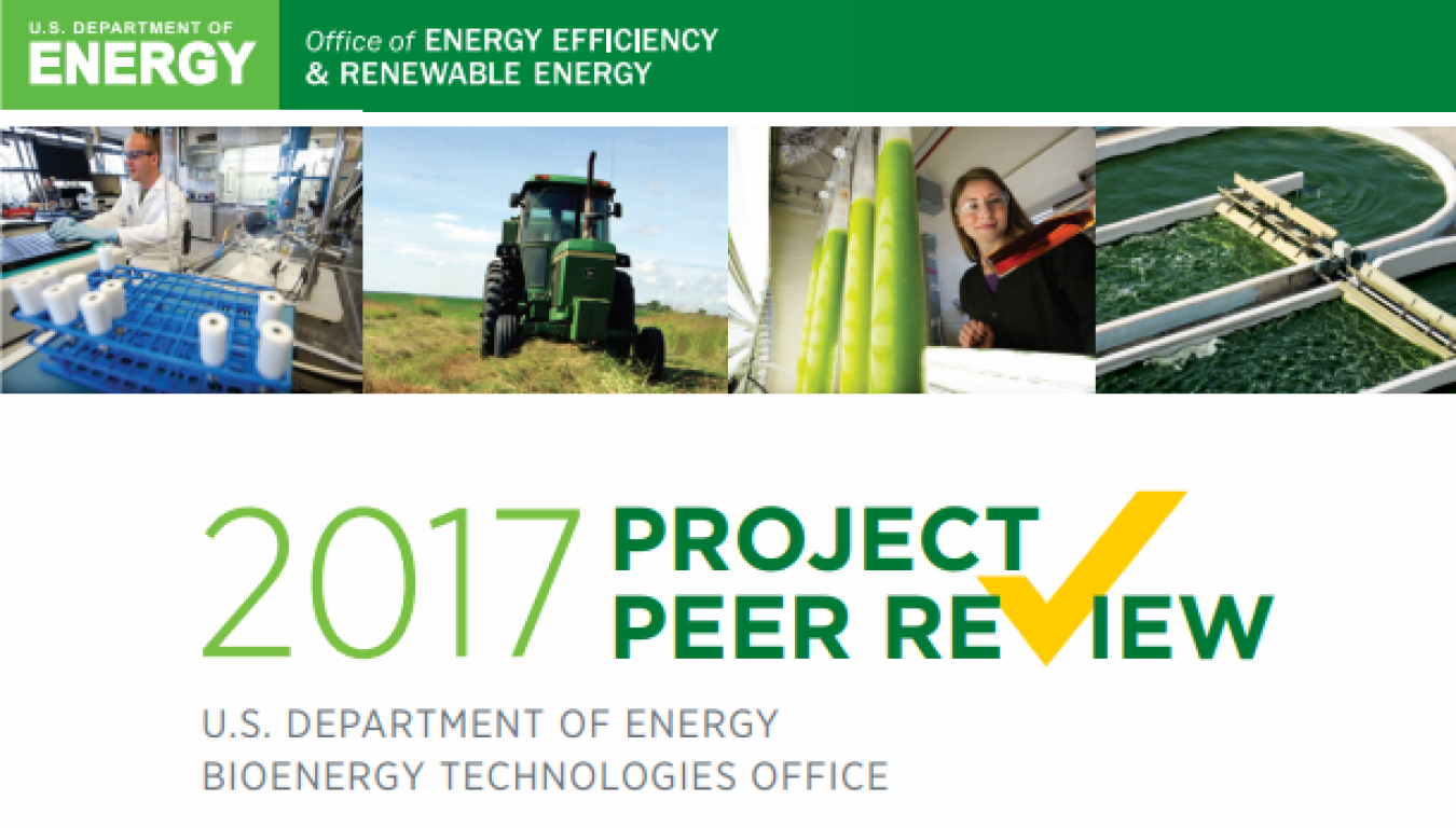 2017 Project Peer Review Report cover.