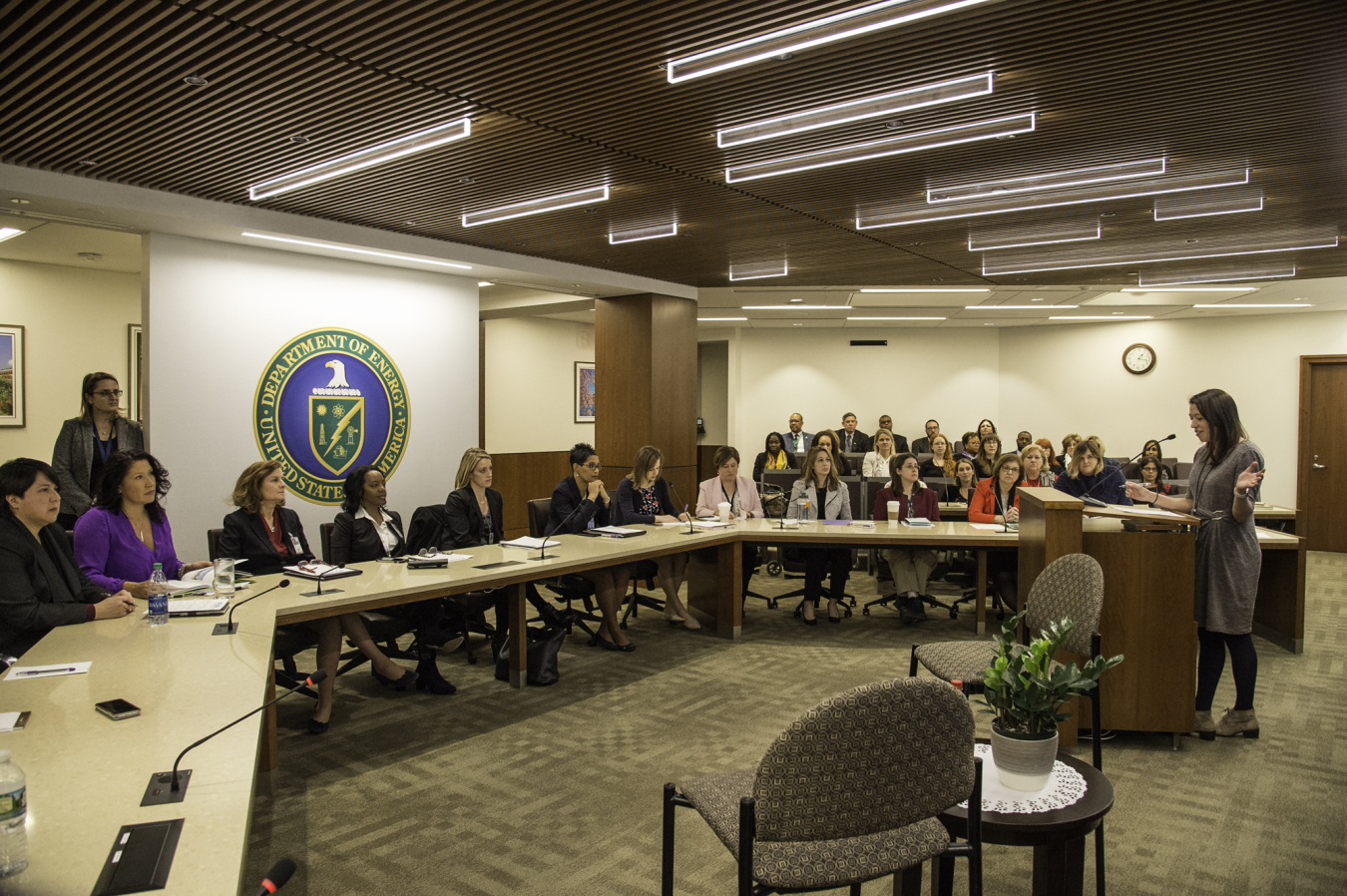AnneMarie Horowitz, Director of POWER, speaks to the group at the January 2018 meeting.