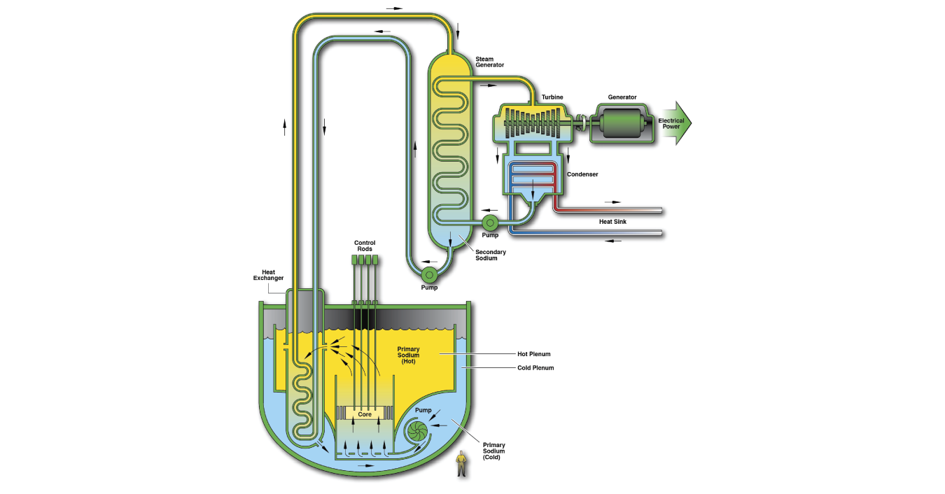 A concept design of a sodium-cooled fast reactor