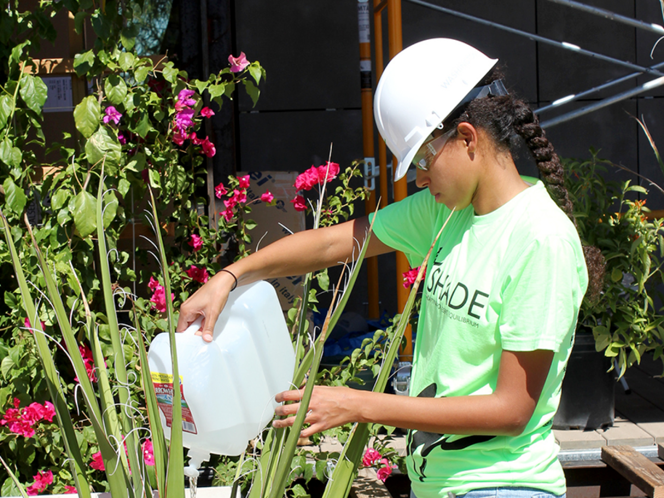 Landscaping at Solar Decathlon