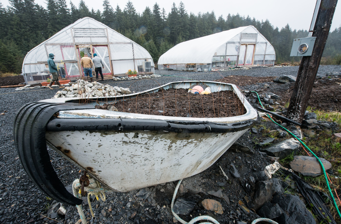 A group of people walk around the community greenhouses.