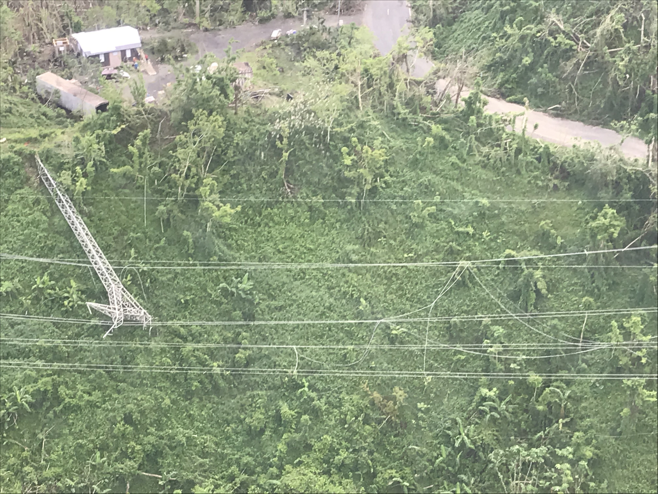 Photo of downed transmission line in Puerto Rico