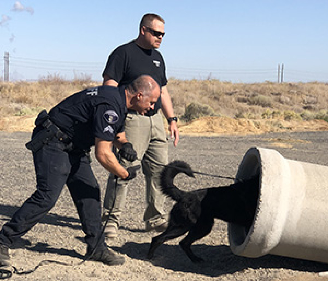 A canine searches for a suspect during criminal apprehension training.