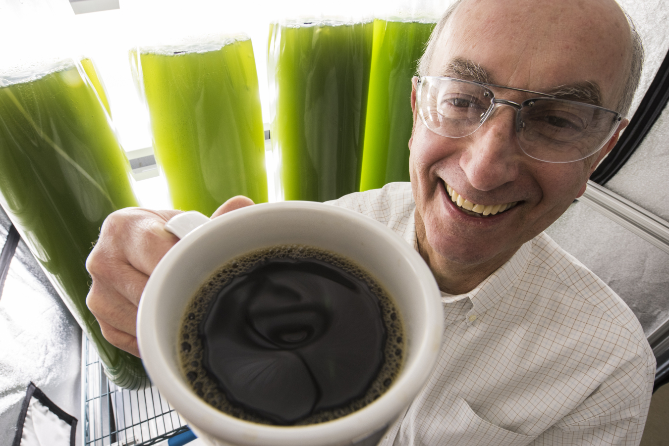 Phil Pienkos is a bioenergy project manager at the National Renewable Energy Lab.