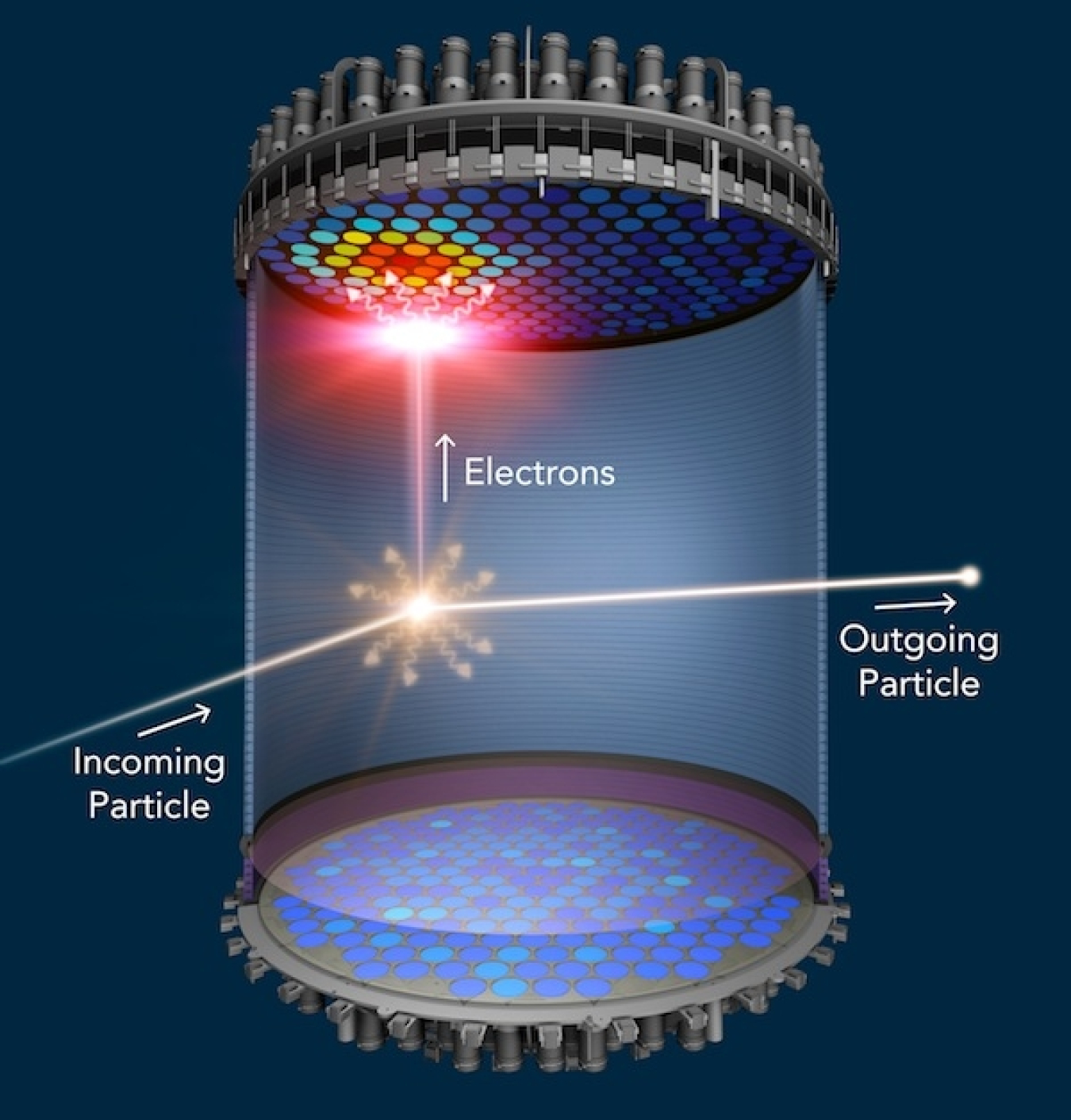 When a WIMP collides with a xenon atom, the xenon atom emits a flash of light (gold) and electrons. The flash is detected at the top and bottom of the liquid xenon chamber.