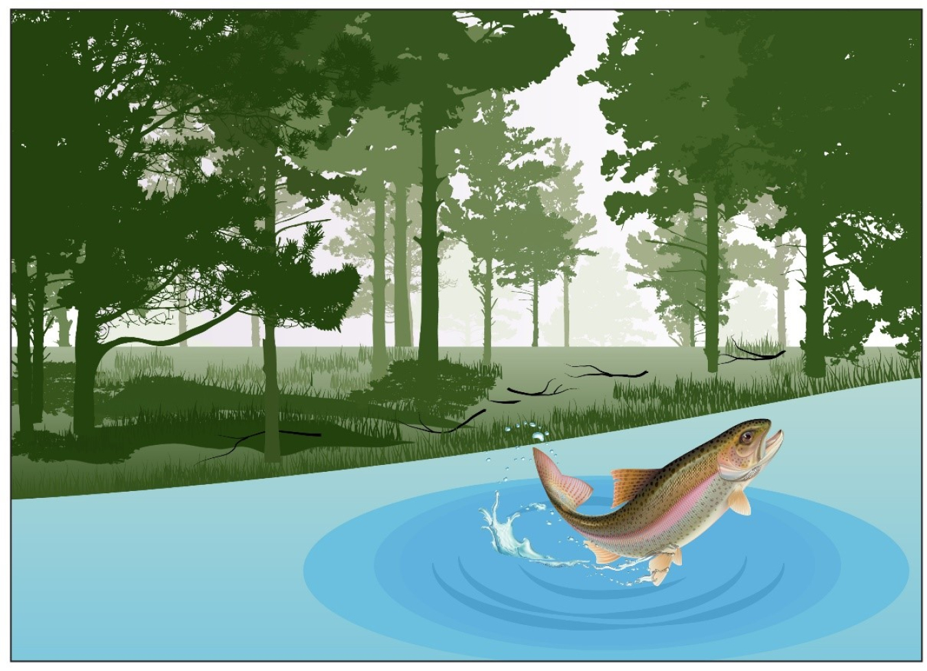 A drawn photo of a fish leaping out of a small pond, with trees in the background. 