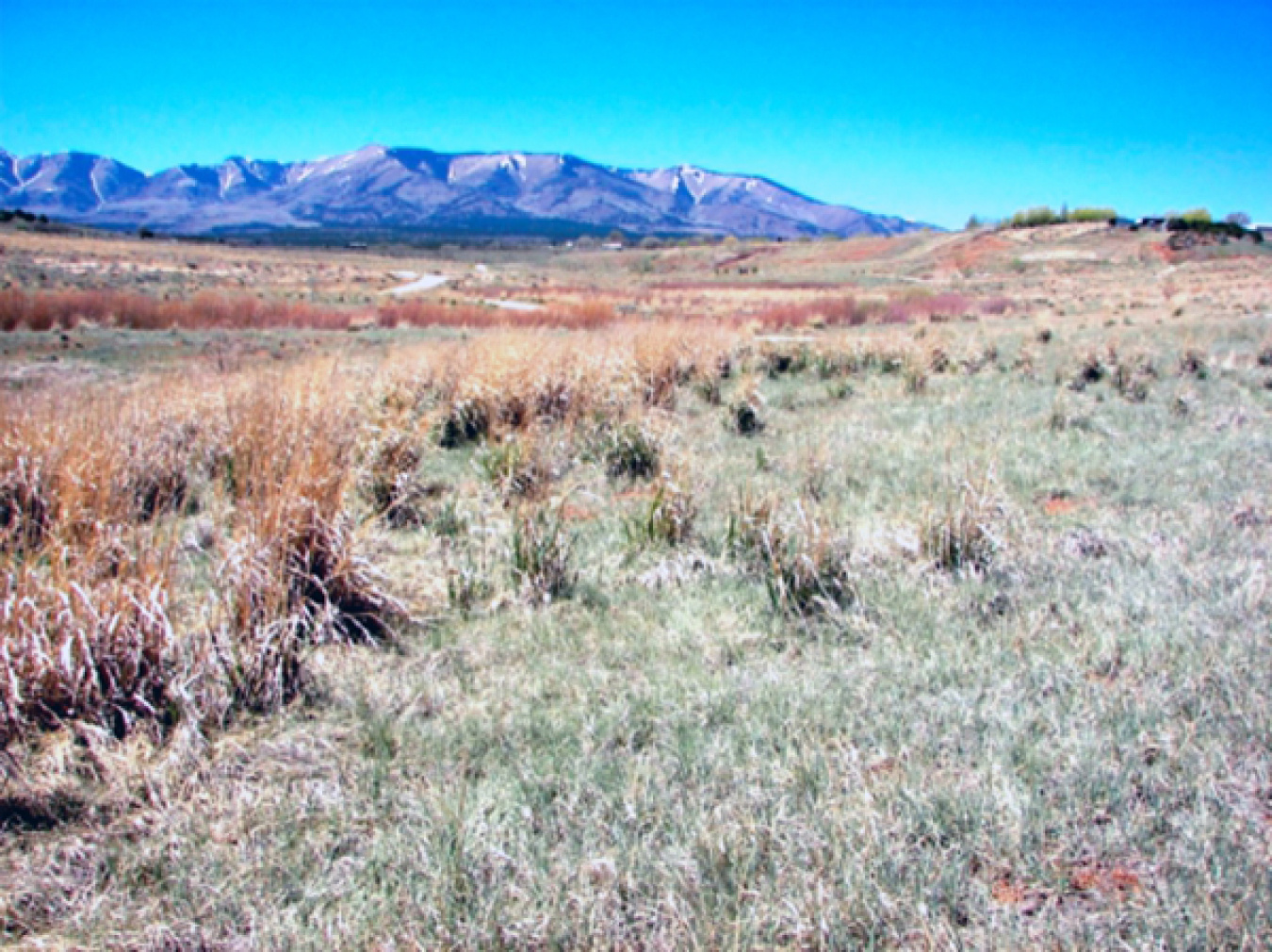 The cleaned up mill site was restored with native plants and transferred to Monticello for recreational use.