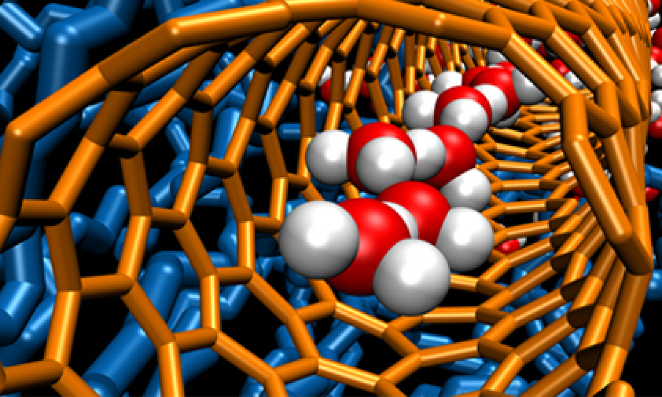 Materials Sciences and Engineering (MSE)