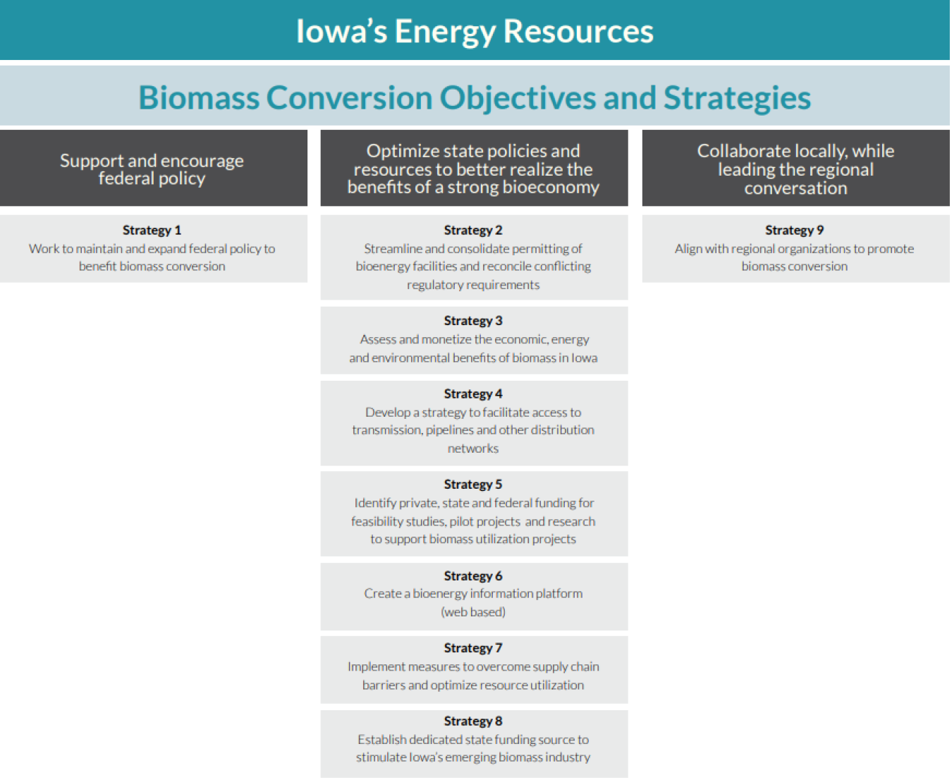 A three column graphic of biomass conversion objectives and strategies. 