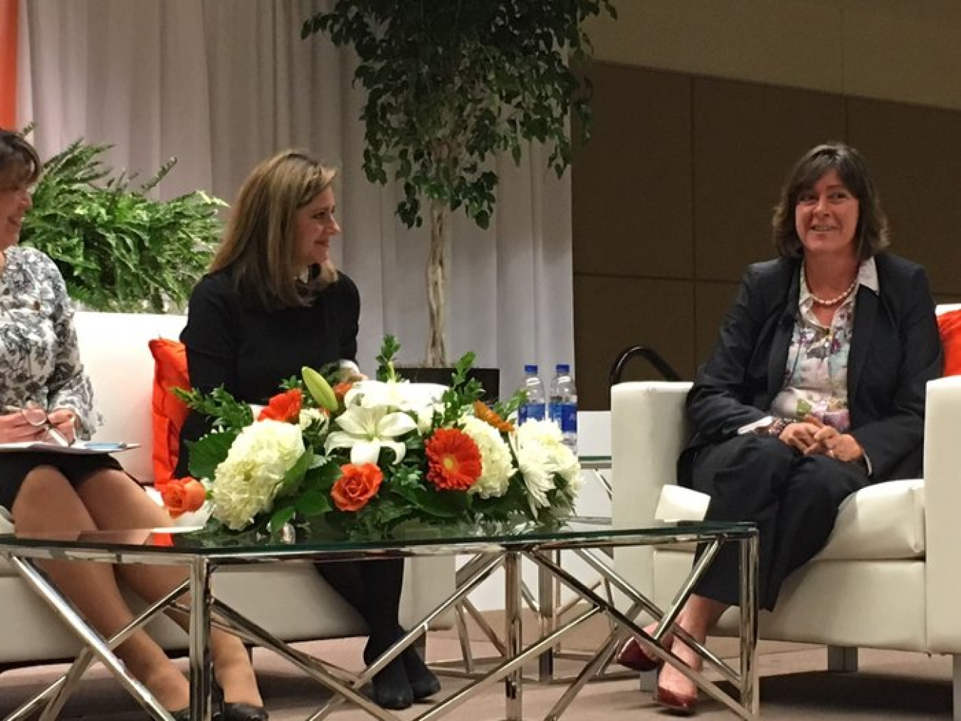 EM Assistant Secretary Anne White makes a point during the Women in Waste Management program at the 2019 Waste Management Symposia.