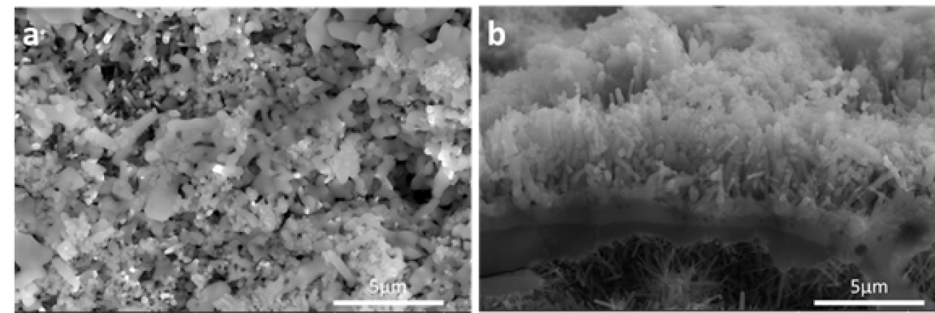 Figure 2: Scanning electron microscopy (SEM) image of BaCO3 nanoparticles washcoated ZnO nanoarray, (a) top view; (b) cross-section view.